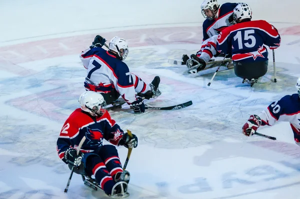 Hra v sledge hokejový — Stock fotografie