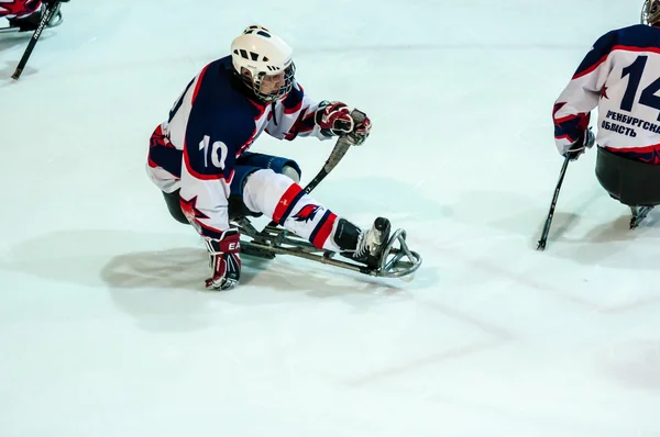 Hra v sledge hokejový — Stock fotografie