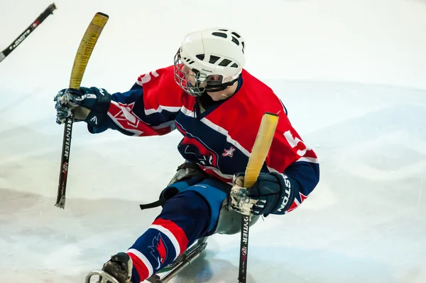 Hra v sledge hokejový — Stock fotografie