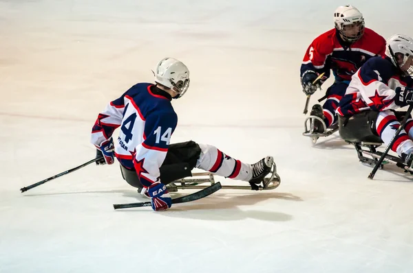 Gra w hokeja sanki — Zdjęcie stockowe