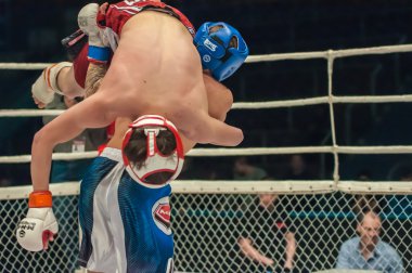 İki Mma savaşçıları maç