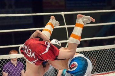 İki Mma savaşçıları maç