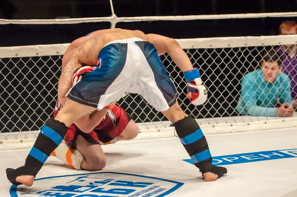 İki Mma savaşçıları maç — Stok fotoğraf