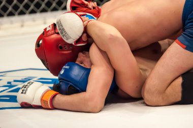 İki Mma savaşçı