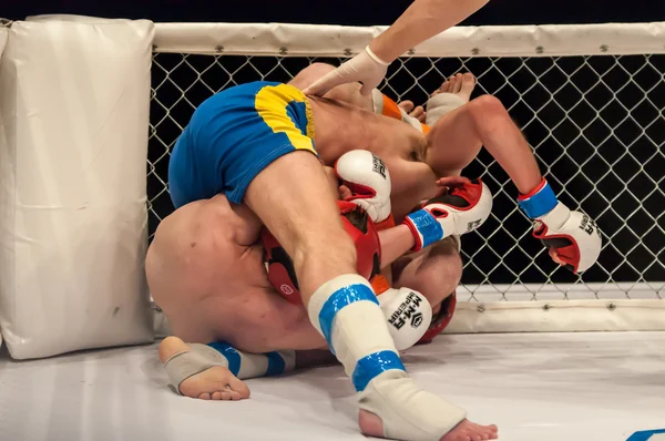 Två Mma fighter — Stockfoto