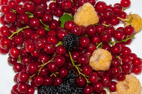 Yellow raspberries and red currants and blackberries — Stock Photo, Image