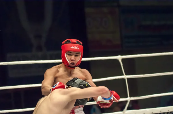 Fight in mixed martial arts — Stock Photo, Image