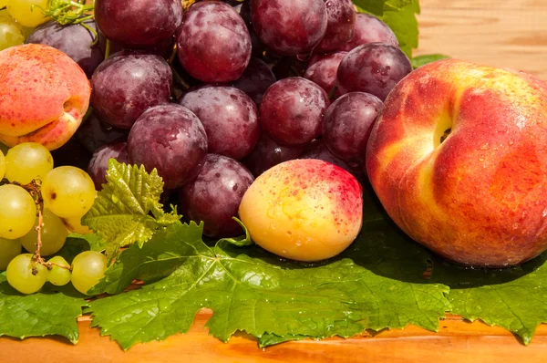 Grapes and apricots — Stock Photo, Image