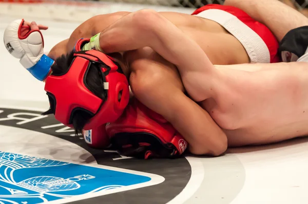 "Peleas sin reglas "o MMA —  Fotos de Stock