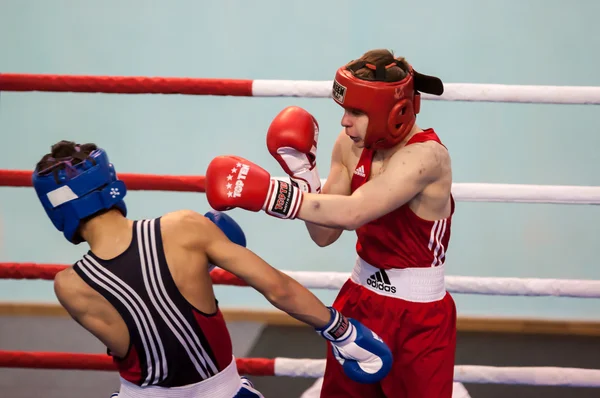 Compétitions de boxe, Orenburg, Russie — Photo