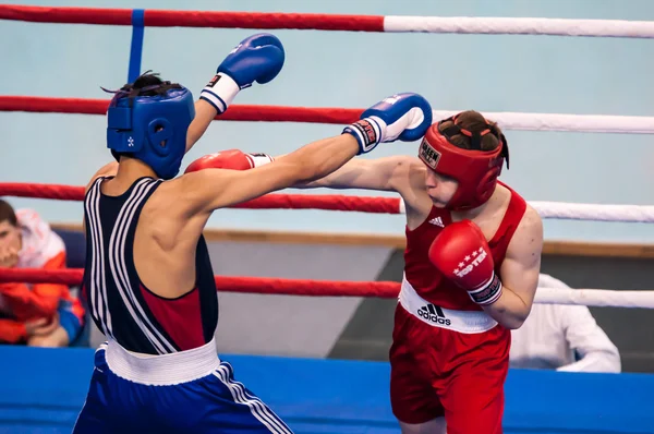 Competiciones en boxeo, Orenburg, Rusia —  Fotos de Stock