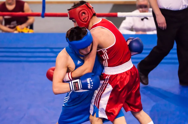 Competiciones en boxeo, Orenburg, Rusia — Foto de Stock
