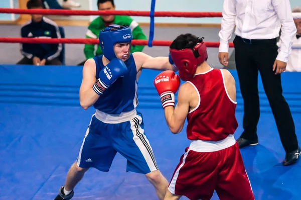 Competiciones en boxeo, Orenburg, Rusia —  Fotos de Stock