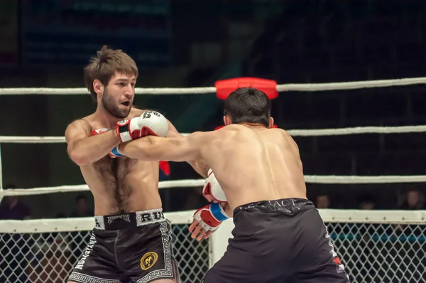 MMA veya "kavgalar kuralları olmadan" — Stok fotoğraf