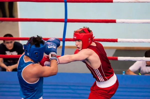 Fight boxers, Orenburg, Russia — Stock Photo, Image