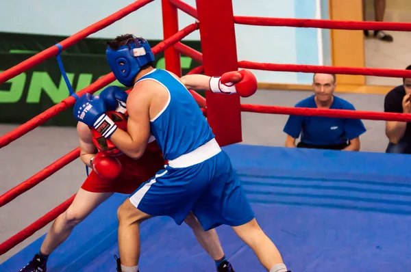 Boxeurs de combat, Orenburg, Russie — Photo