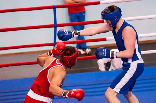 Competitions in boxing, Orenburg, Russia — Stock Photo, Image