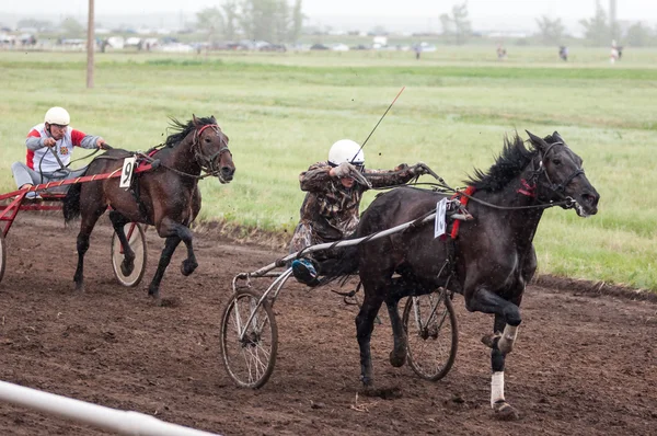 Paardenrennen op vakantie Sabantuy — Stockfoto