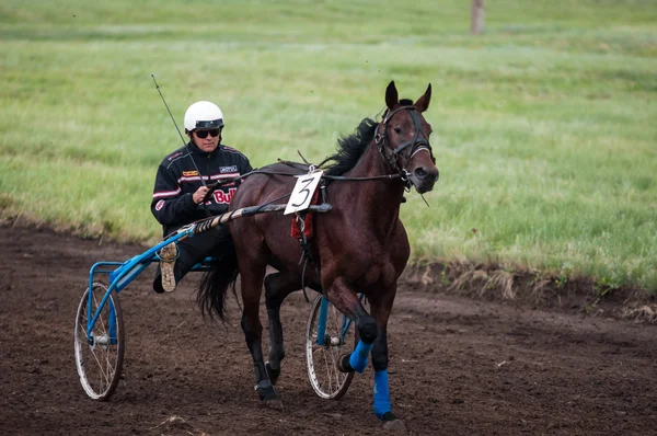 Carreras de caballos de vacaciones Sabantuy — Foto de Stock