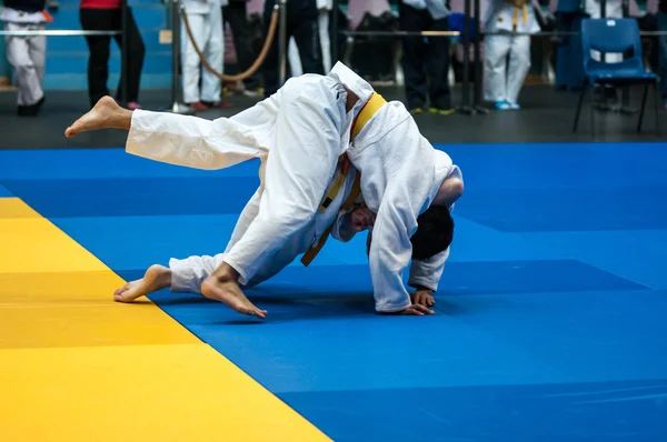 Erkekler Judo — Stok fotoğraf