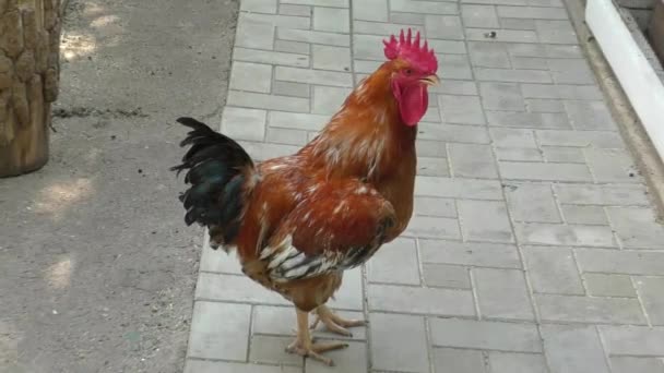 bite sur itinérance 