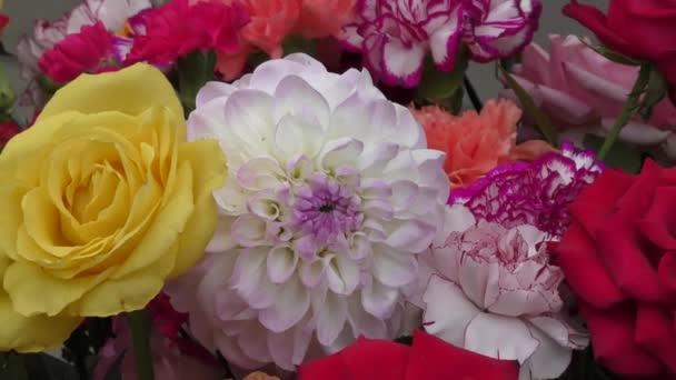 Aranžování květin. — Stock video