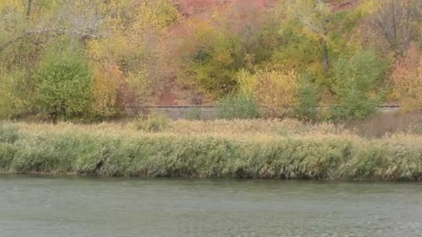 在秋天的乌拉尔河 — 图库视频影像