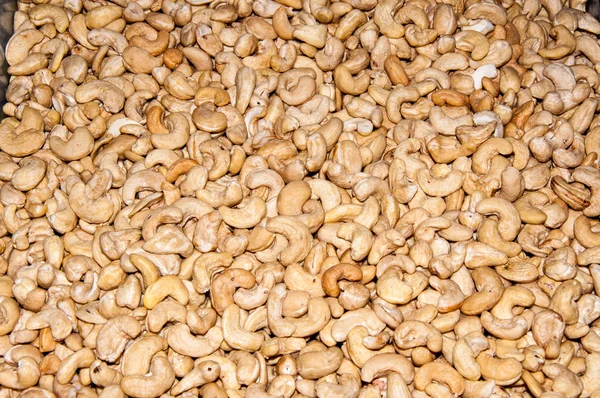 Cashew peeled nut — Stock Photo, Image