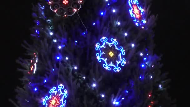 Φώτα χριστουγεννιάτικων δέντρων — Αρχείο Βίντεο
