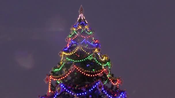 The lights on the Christmas tree — Stock Video