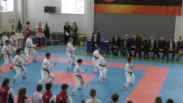 Jonge mensen concurreren in karate — Stockvideo