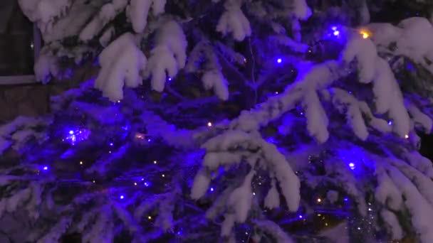 Die Lichter am Weihnachtsbaum an Silvester — Stockvideo