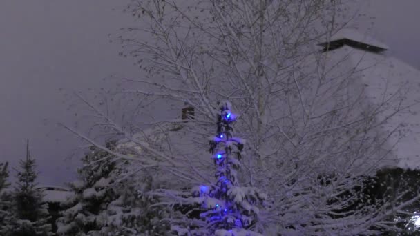 大晦日のクリスマスツリーのライト — ストック動画