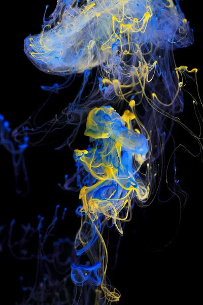 Gele en blauwe inkt in water — Stockfoto