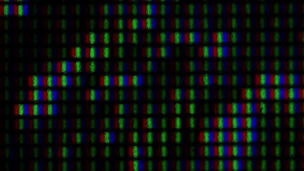 Close-up van pixel array op LCD-monitor — Stockvideo