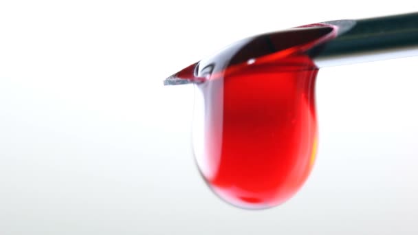 Drop of blood falling from syringe on white background, Macro shot — Stock Video