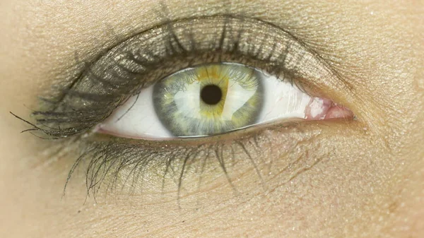 Jedno wyraziste oko z makijażem. Biała kobieta patrząca w kamerę. Zbliżenie — Zdjęcie stockowe