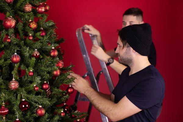 Ung gay hane par dekorera julgran tillsammans med hjälp av stege — Stockfoto