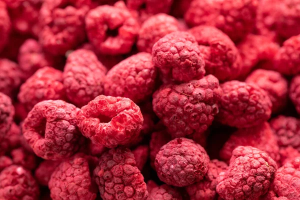 Macro shot of freeze dried organic raspberries, natural fresh fruit background