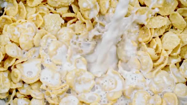 Gros plan lait versé dans des flocons de maïs et éclaboussures au ralenti, muesli — Video