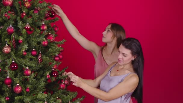 Beautiful female homosexual couple decorating xmas tree together, Christmas eve — Stock Video