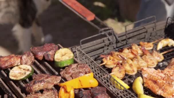 Grill med kött, skaldjur och grönsaker utomhus, närbild — Stockvideo