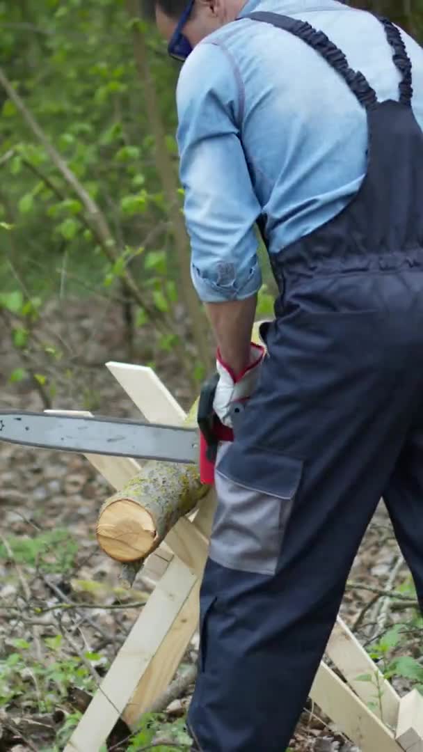 Vertikal geschossene Holzfäller in Arbeitsuniform sägen Baumstamm auf Sägepferd mit elektrischer Säge — Stockvideo