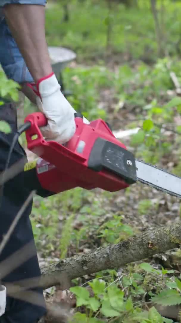 Vertikalt skott Närbild Träskärare sågning litet träd med elektrisk såg i skogen, Träarbete — Stockvideo