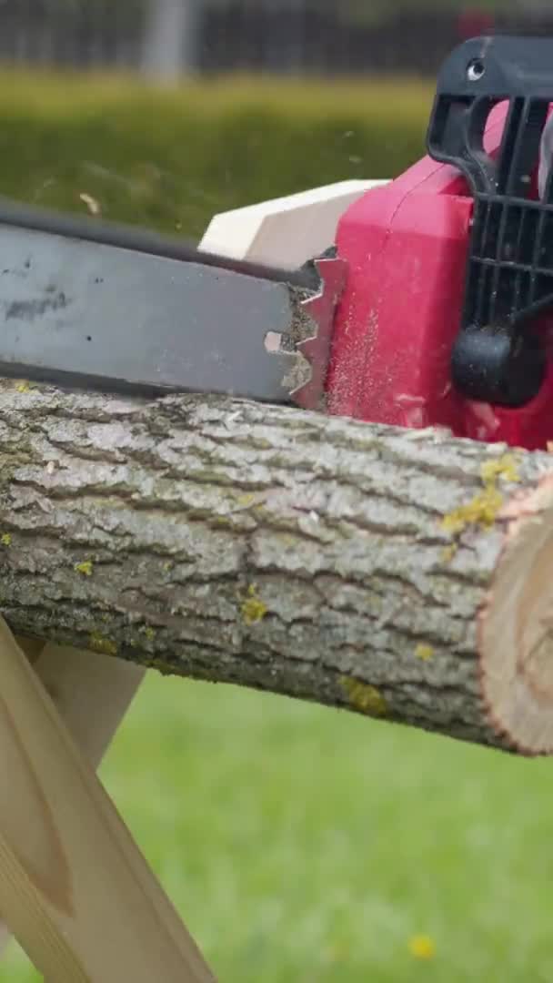 Verticaal schot close-up houthakker zagen, zagen in beweging, zaagsel vliegen naar de zijkant. Houtbewerking — Stockvideo