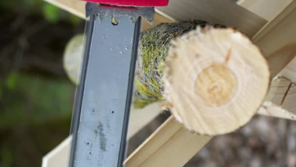 Függőleges lövés favágó kesztyűben fűrész tűzifa a fűrészáru egy elektromos fűrész az erdőben — Stock videók
