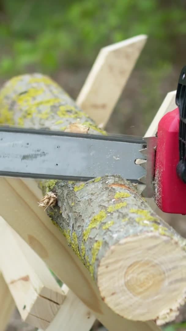 Plan vertical Scie à chaîne en action coupe du bois. Homme coupant l'arbre en rondins avec scie sur sawhorse — Video