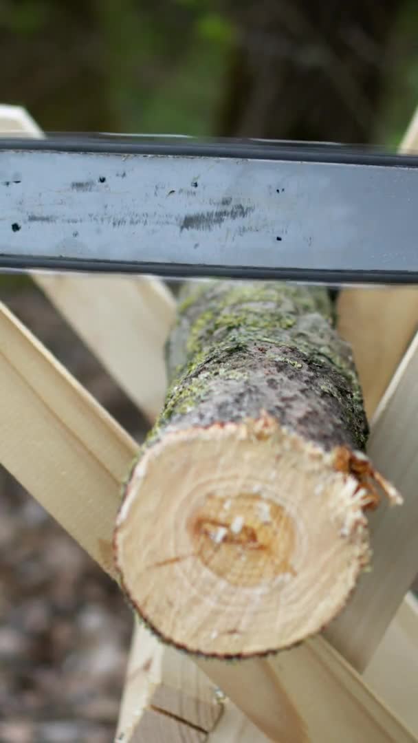 Plan vertical Gros plan d'un bûcheron sciant le tronc d'un arbre sur un sawhorse, la sciure vole sur les côtés — Video