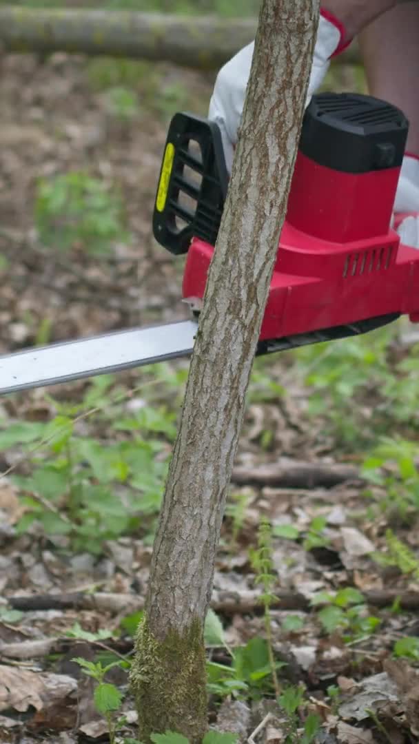 Vertikaler Schuss Nahaufnahme Holzfäller in Arbeitsuniform sägt jungen Baumstamm mit Kettensäge ab — Stockvideo