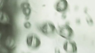 Dikey video su, cam bir su ısıtıcısında kaynıyor ve bir girdap oluşturup, makroyu kapatıyor.